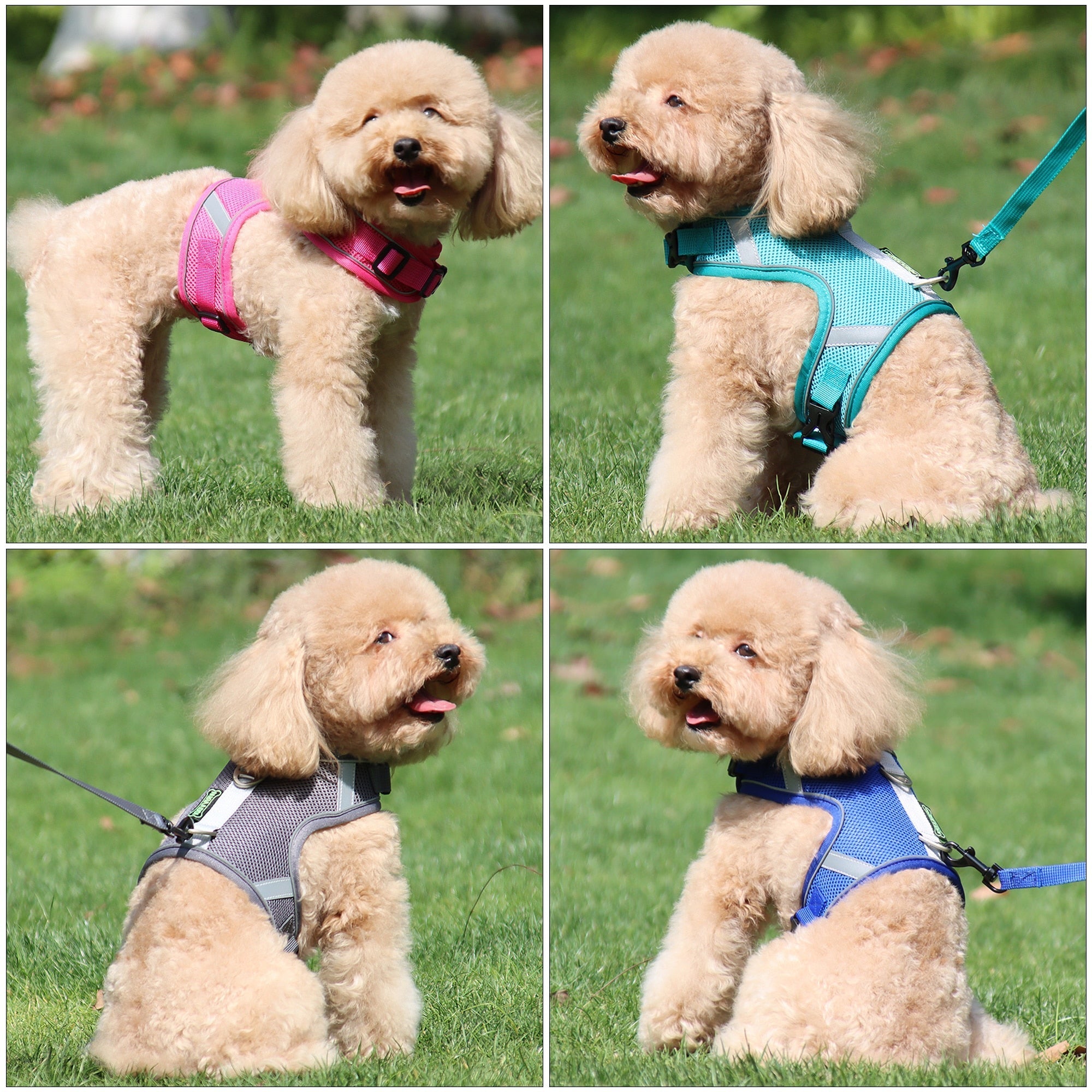 Dog Harness Vest With Lead Leash Small Medium Dogs Cats Reflective Breathable Mesh Pet - Vintage tees for Women